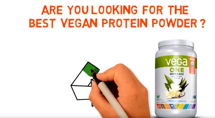 are you looking for the best vegan protein powder