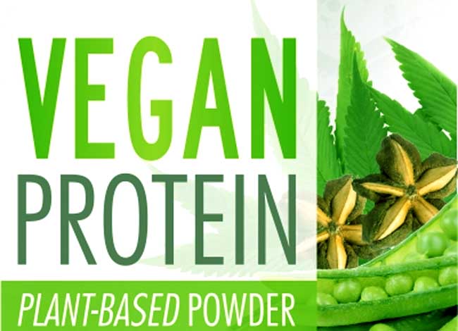 VEGAN PROTEIN BLOG